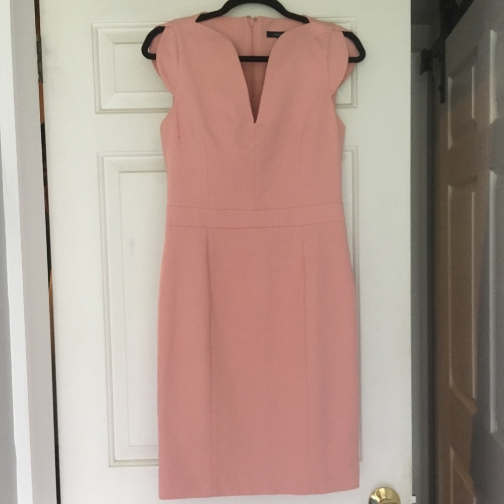 French Connection Rose Tan Dress